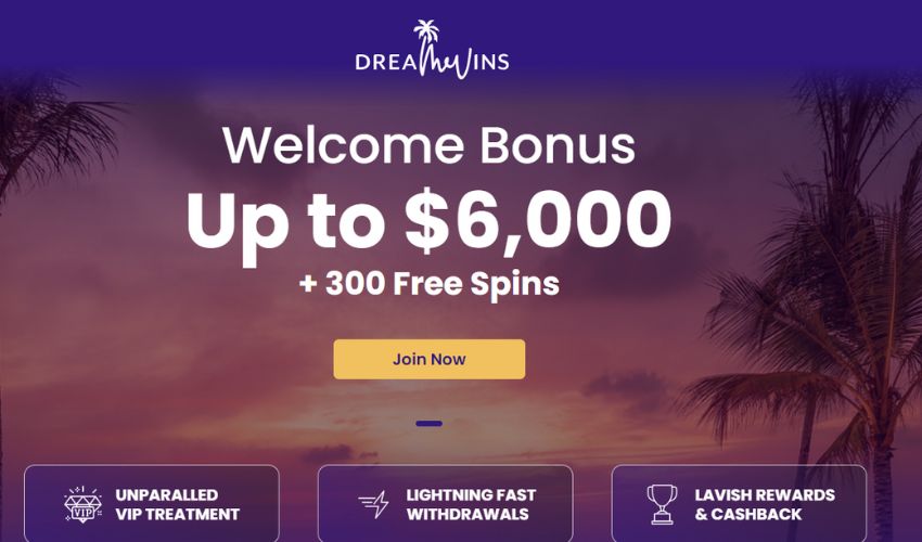 What Casino Bonuses Does Dreamwins Have for Players